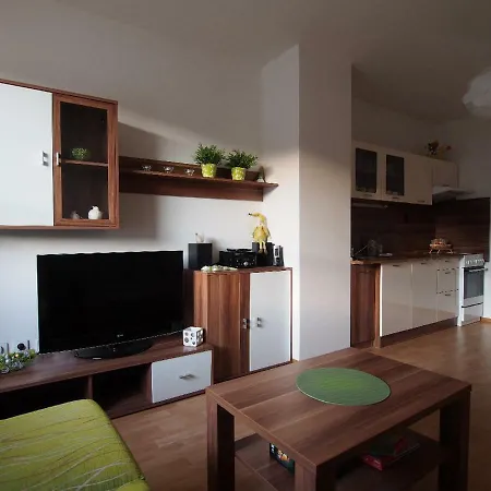 公寓 Apartman V Destnem 德尔内夫奥里克