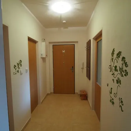 Apartman V Destnem 公寓 *